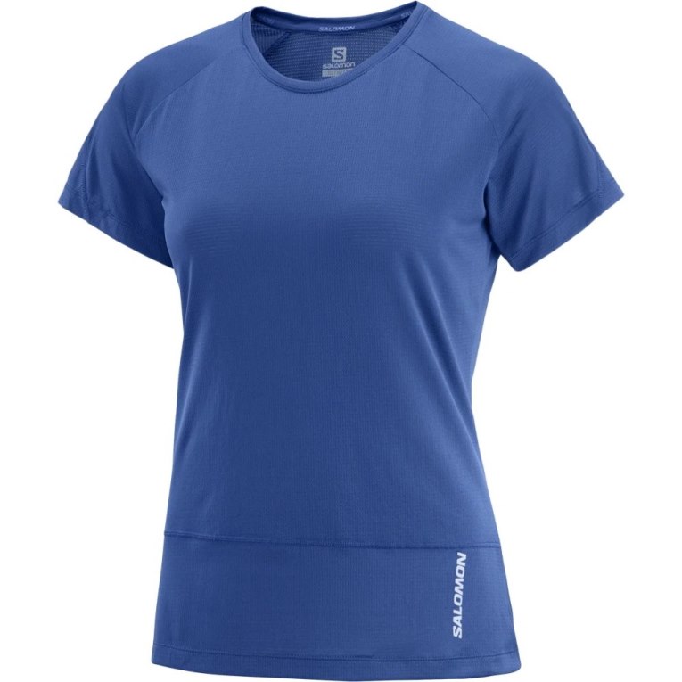 Camiseta Salomon Cross Run Curta Sleeve Feminino Azuis | PT M76293